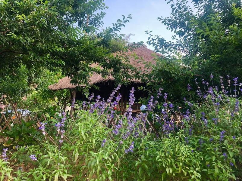 Bed and Breakfast Savana Moc Chau Exterior foto
