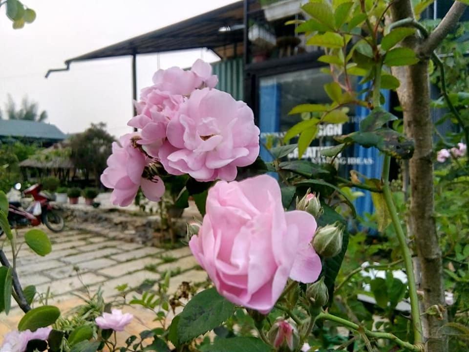 Bed and Breakfast Savana Moc Chau Exterior foto
